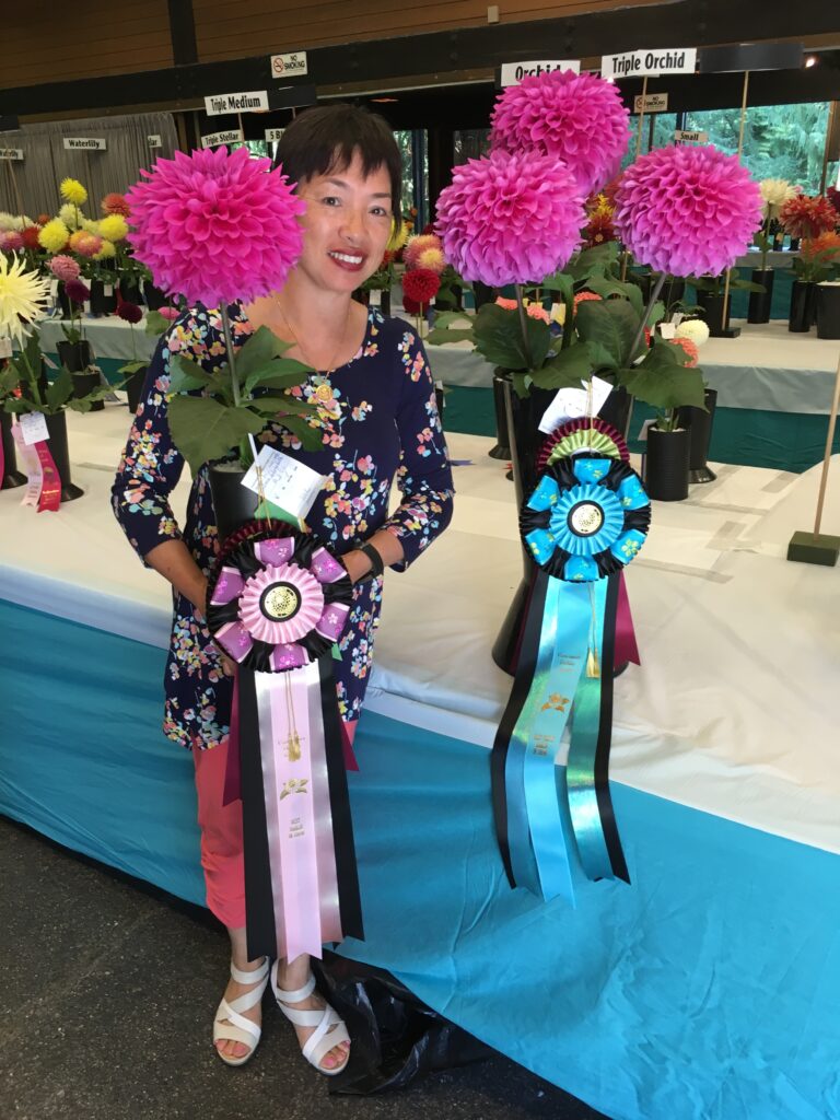 2017 Vancouver Show 
Best in show Elma Elizabeth 
Best triple in show Elma Elizabeth 
